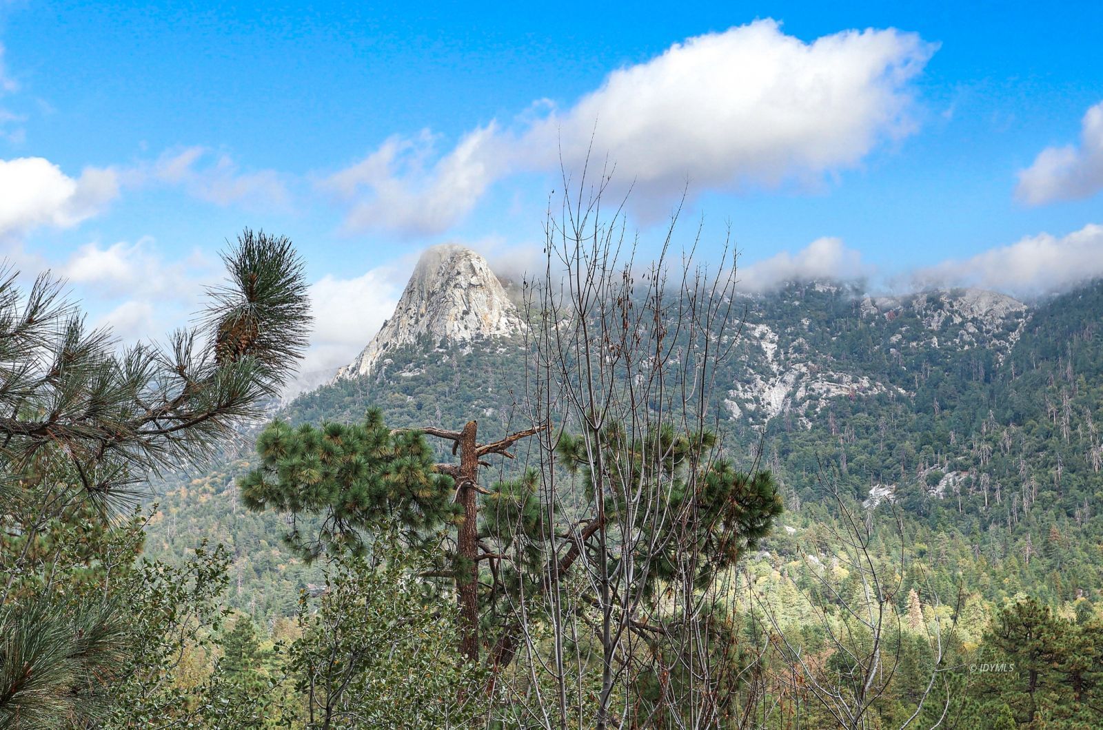 55100 Pine Crest Avenue Idyllwild, CA 92549 - Photo 46 of 50