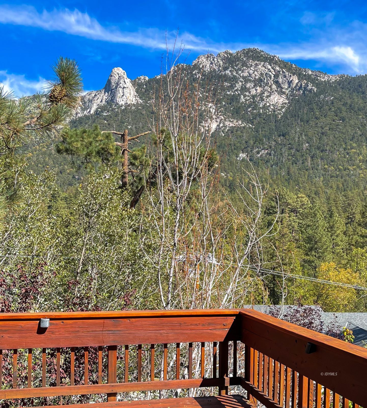 55100 Pine Crest Avenue Idyllwild, CA 92549 - Photo 50 of 50 a view of a balcony with chair and table