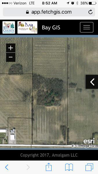 0 East Cottage Grove Road Linwood, MI 48631 - Photo 6 of 7
