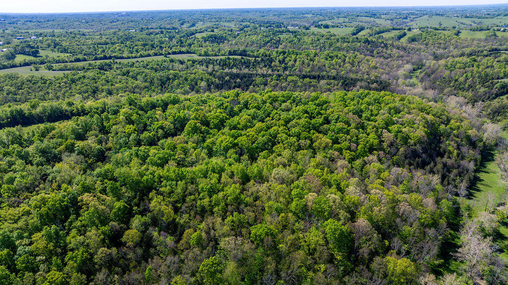 2300 Taft Highway Dry Ridge, KY 41035 - Photo 27 of 31