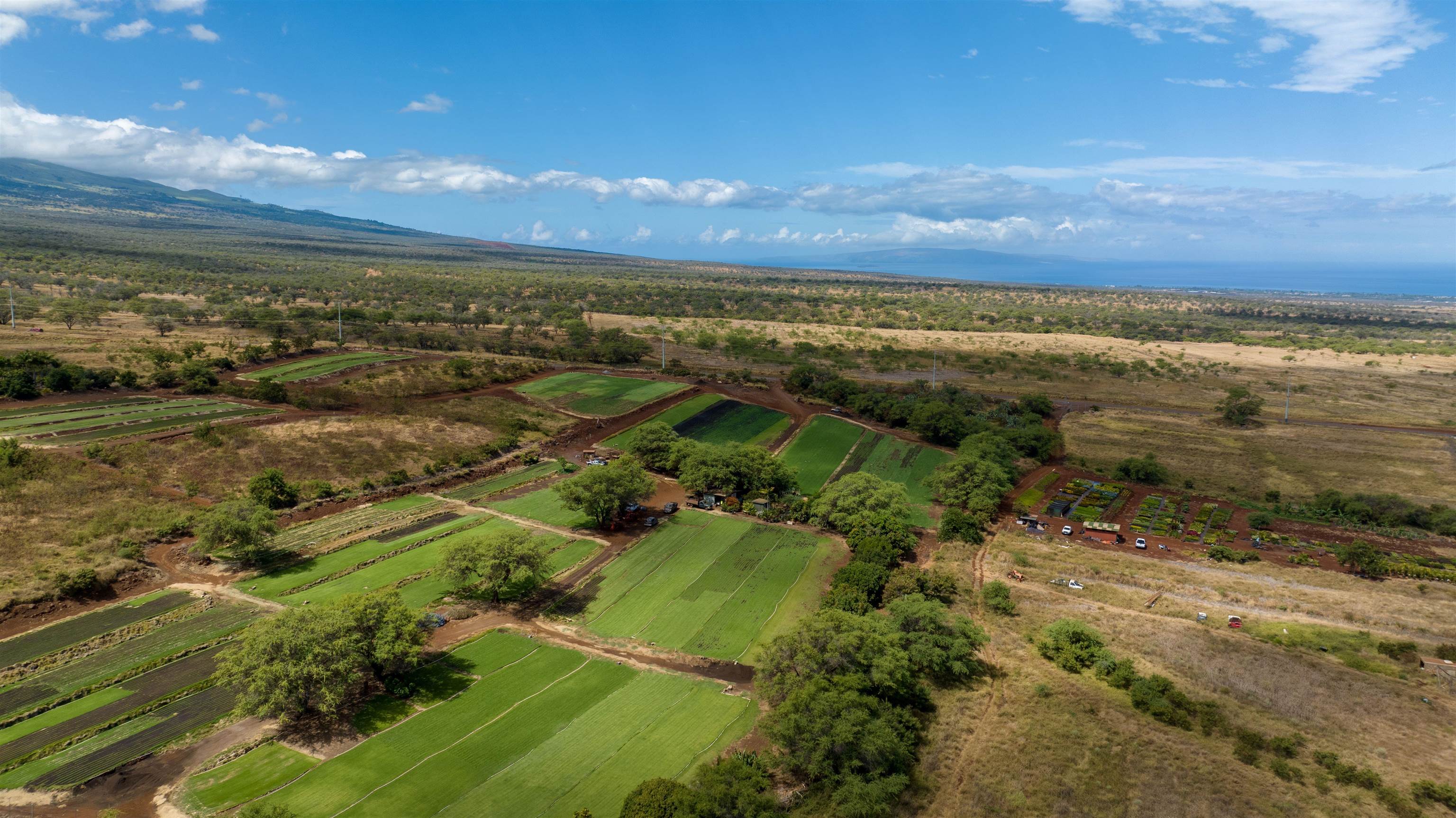 80 Opalipali Place Kula, HI 96790 - Photo 15 of 15 a view of an ocean and beach
