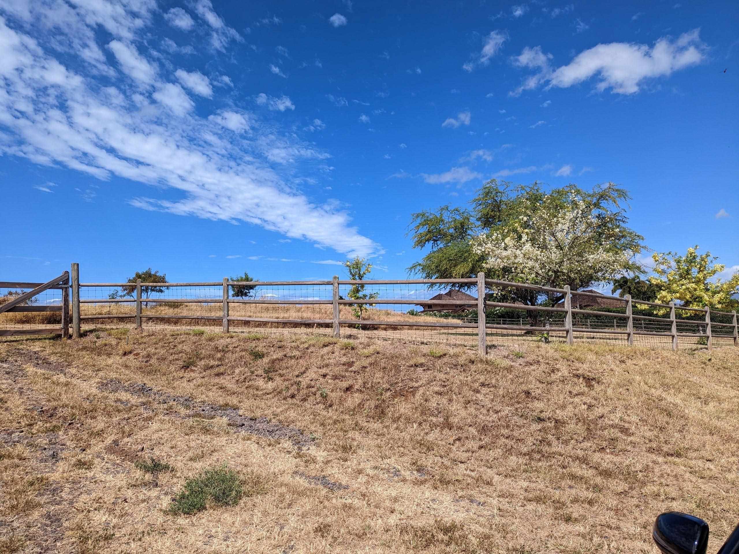 80 Opalipali Place Kula, HI 96790 - Photo 4 of 15 a view of a road with an ocean view