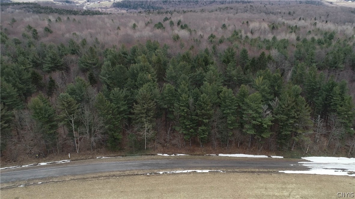 L2 Parker Hill Road Georgetown, NY 13072 - Photo 1 of 1 Gallery Image 1