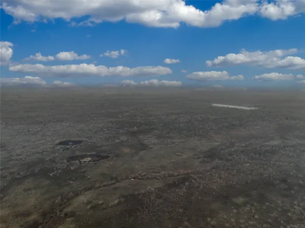 a view of a dry yard with trees and wooden fence