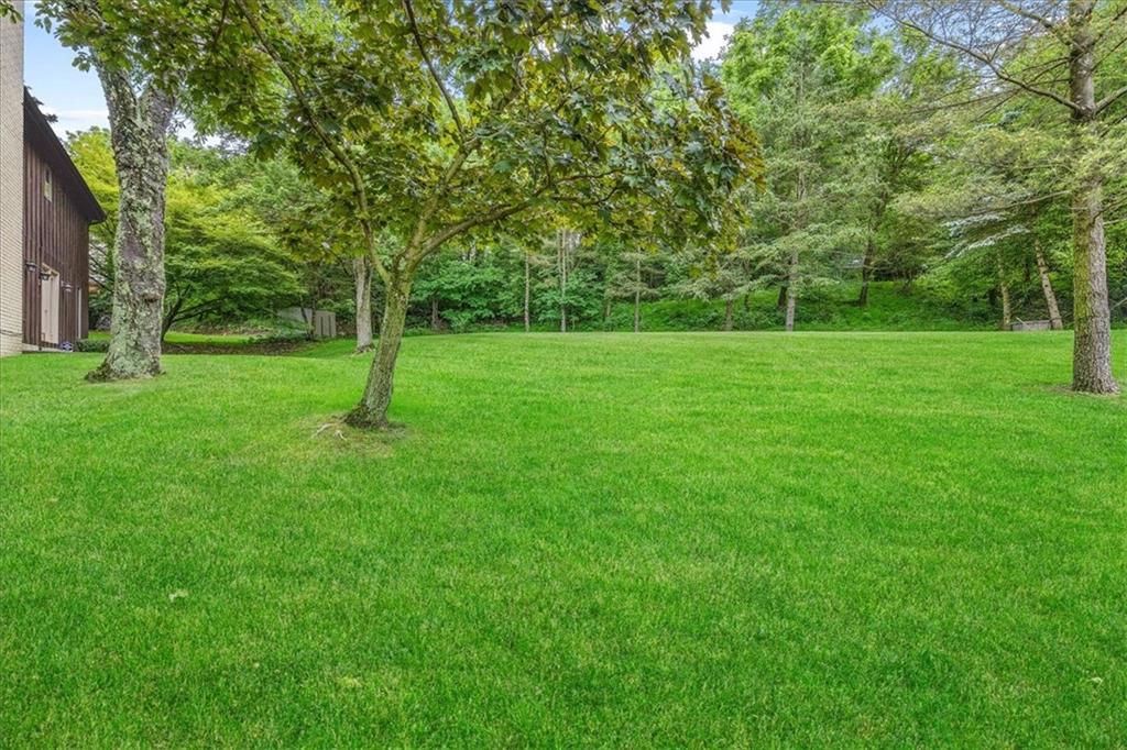 216 Springhouse Lane Pittsburgh, PA 15238 - Photo 2 of 25 a view of a backyard with a trees