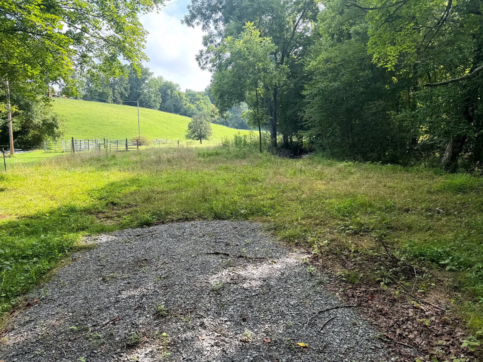 0 Wiley Branch Road Dickson, TN 37055 - Photo 3 of 31 a view of a back yard