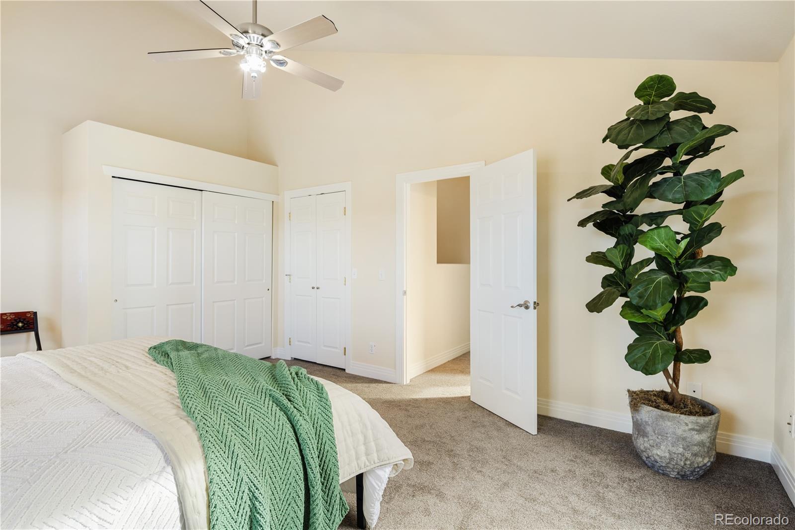 380 County Road Louisville, CO 80027 - Photo 25 of 42 a bedroom with a bed and a potted plant