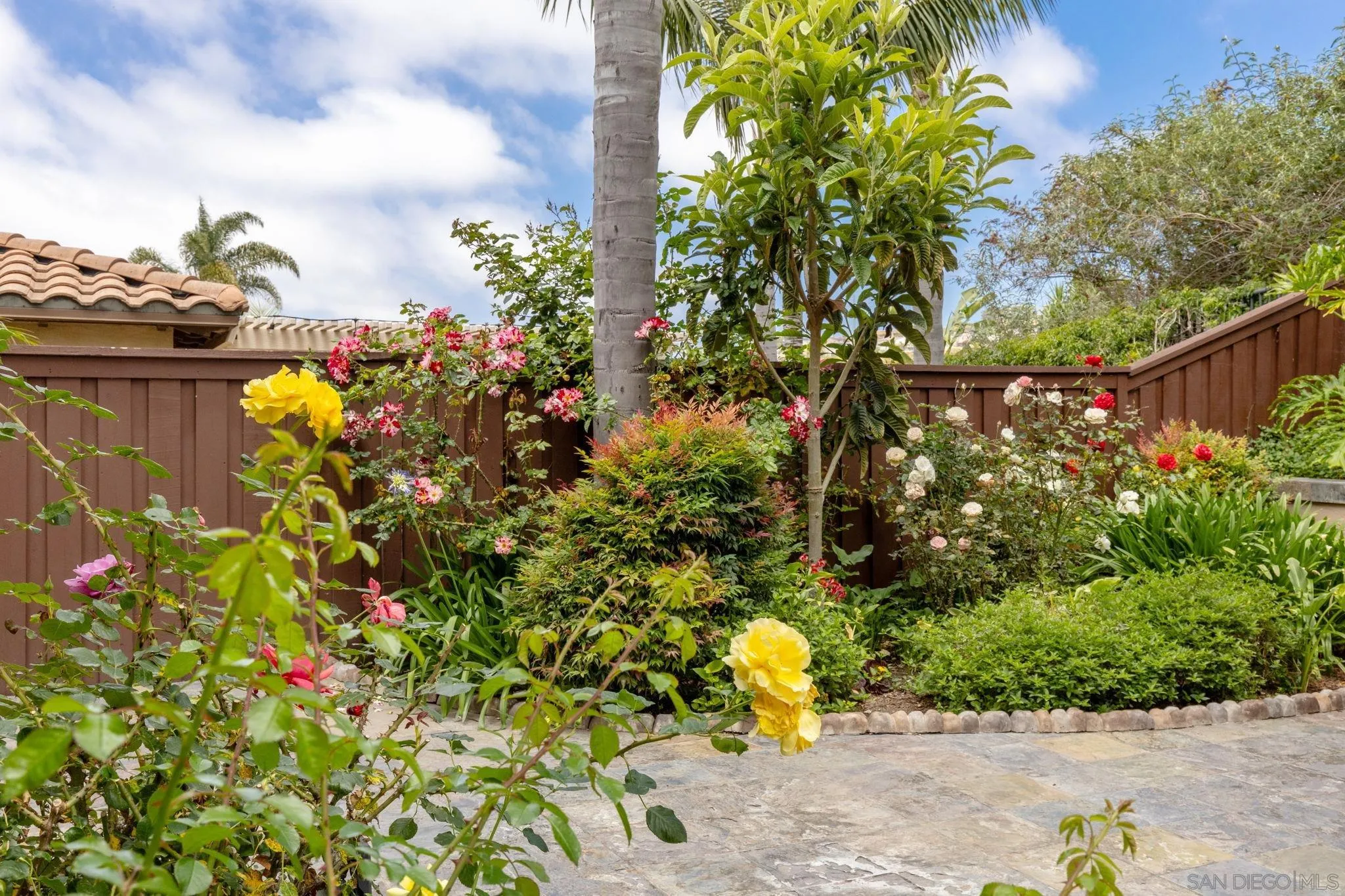 6468 Paseo Cerro Carlsbad, CA 92009 - Photo 33 of 39 a street view with flowers and garden