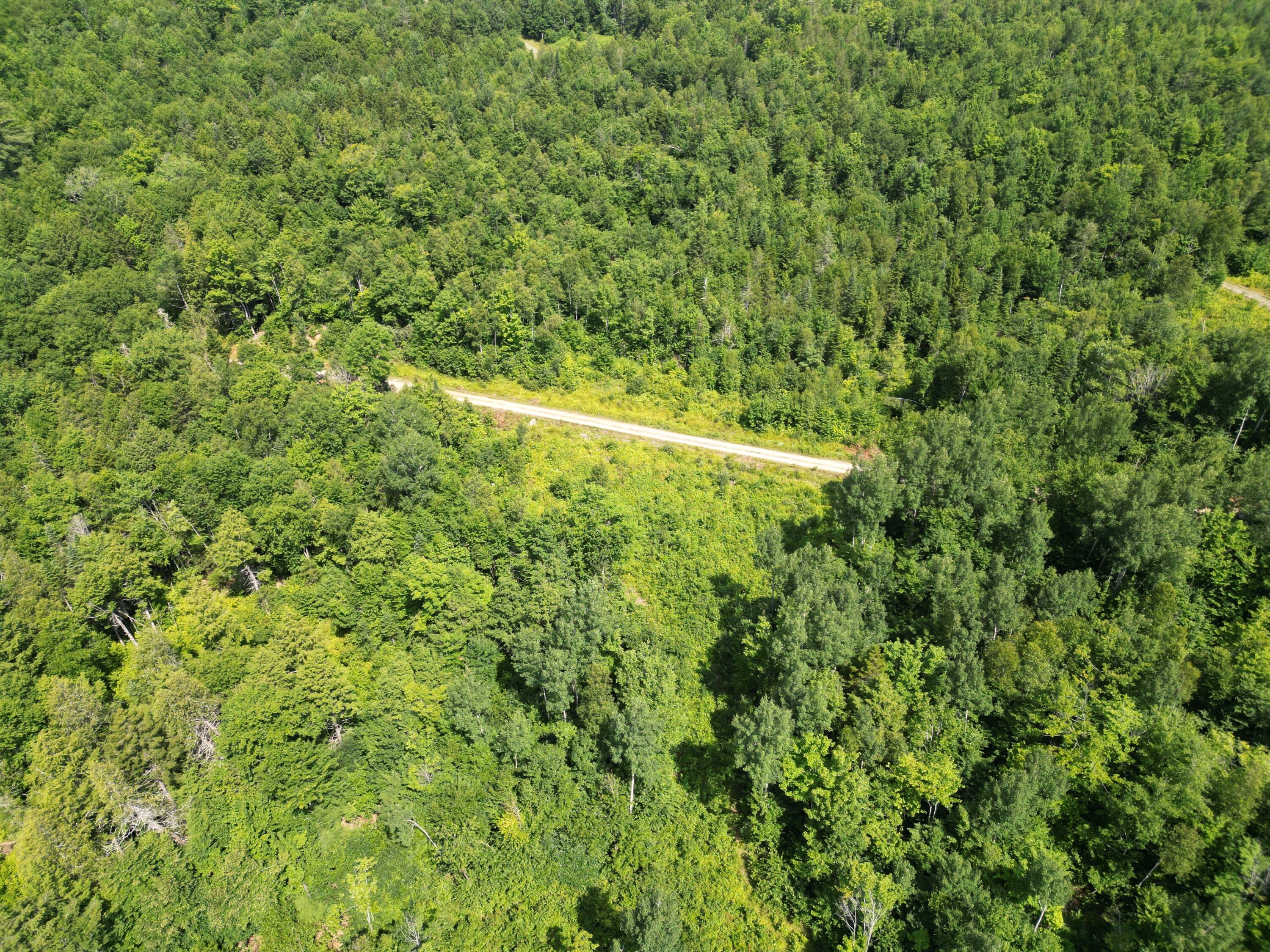 Lot 5 Moores Road Springfield, ME 04487 - Photo 16 of 18 DJI_0966