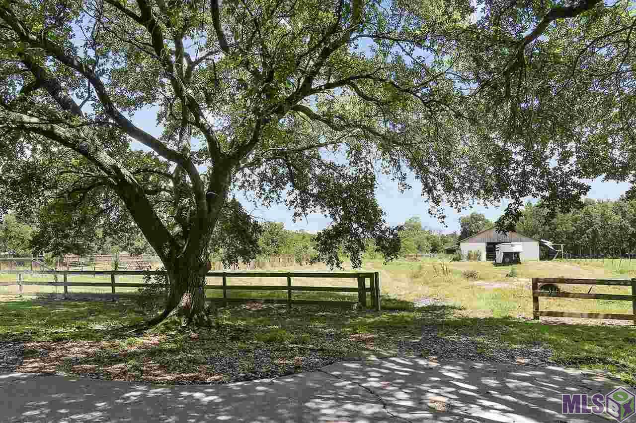 10175 Arnold Road Denham Springs, LA 70726 - Photo 12 of 13