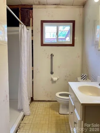 a bathroom with a sink a toilet and shower
