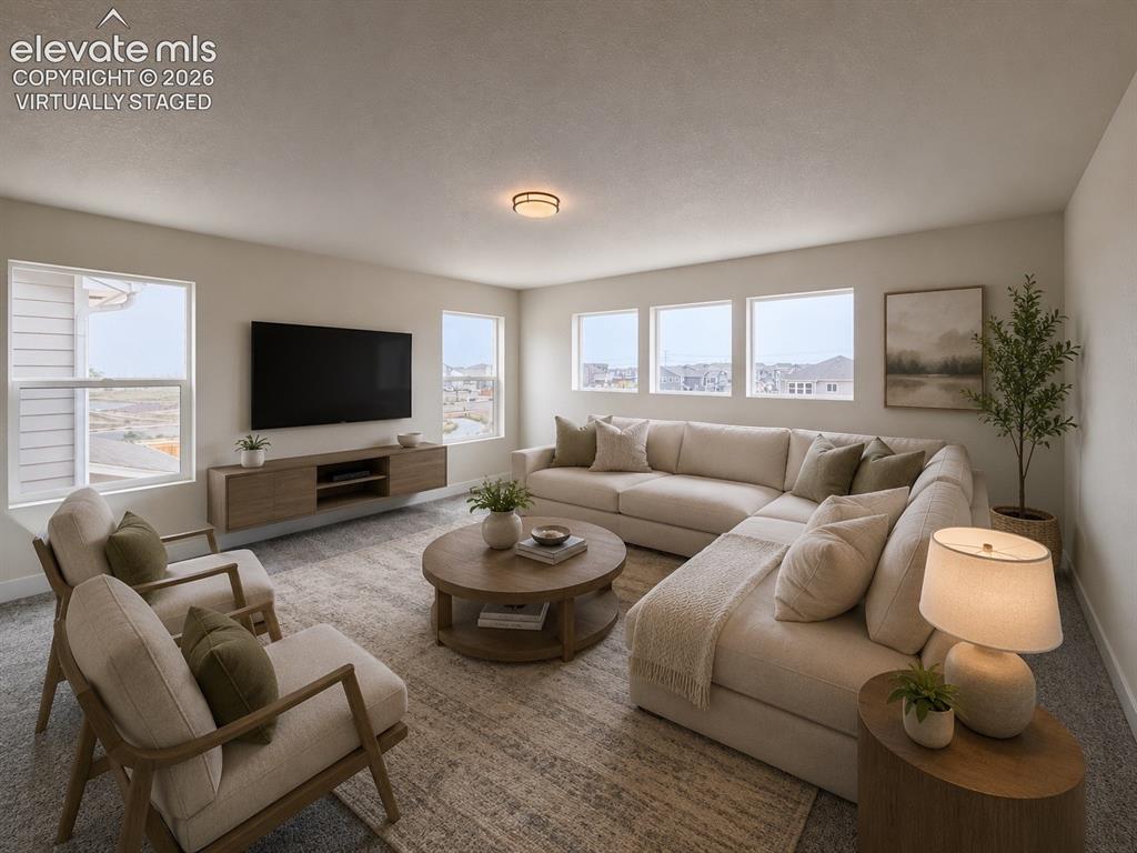 8222 Lemon Grass Road Falcon, CO 80831 - Photo 20 of 40 Virtually staged