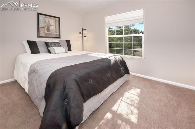 6782 Akron Road Colorado Springs, CO 80923 - Photo 18 of 25