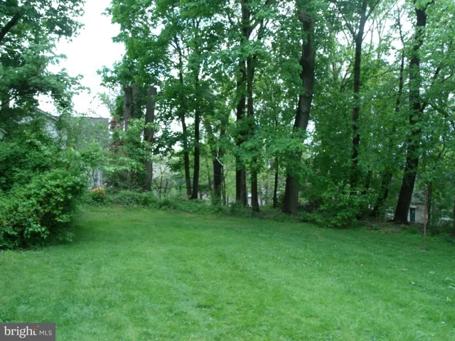 a view of a green field with trees in the background