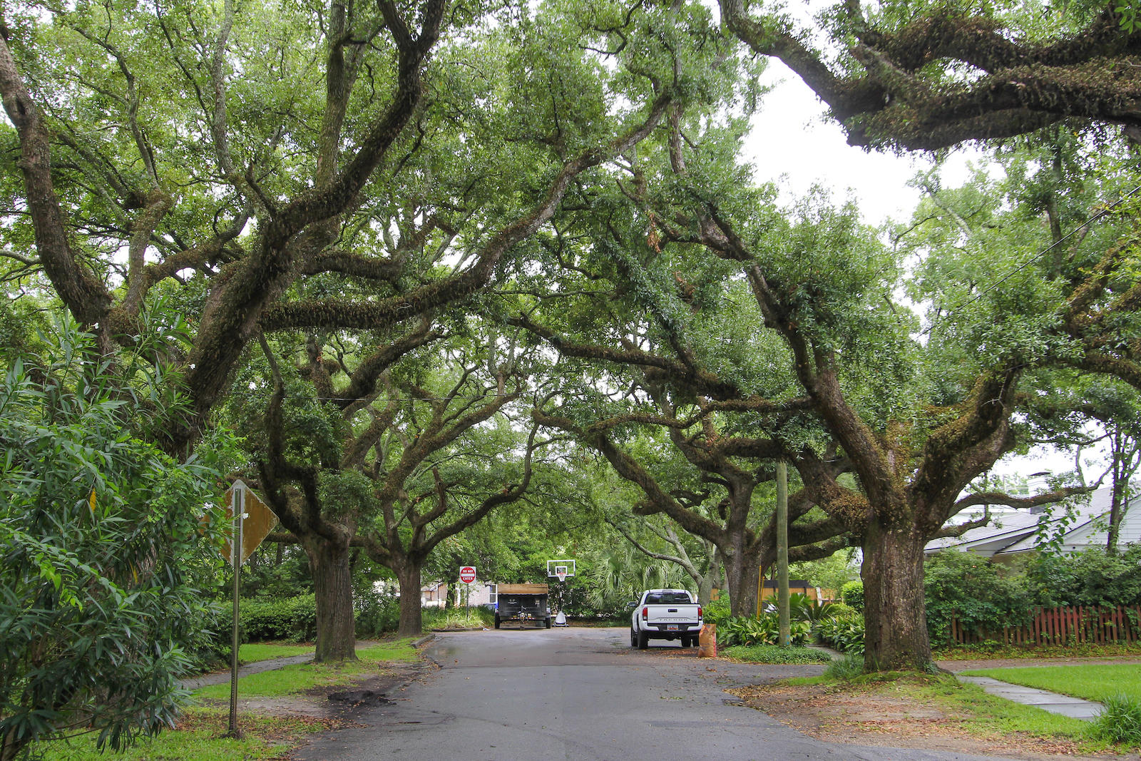 4 Beverly Road Charleston, SC 29407 - Photo 12 of 30 4BeverlyRoad- KeenEyeMarketing - 012