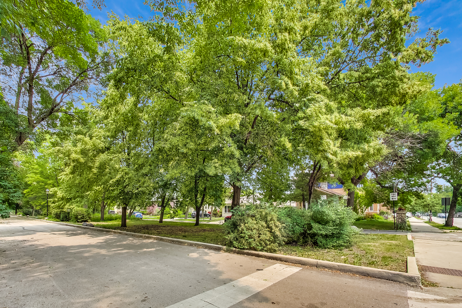 3609 North Harding Avenue Chicago, IL 60618 - Photo 37 of 41 a view of a yard with plants and trees