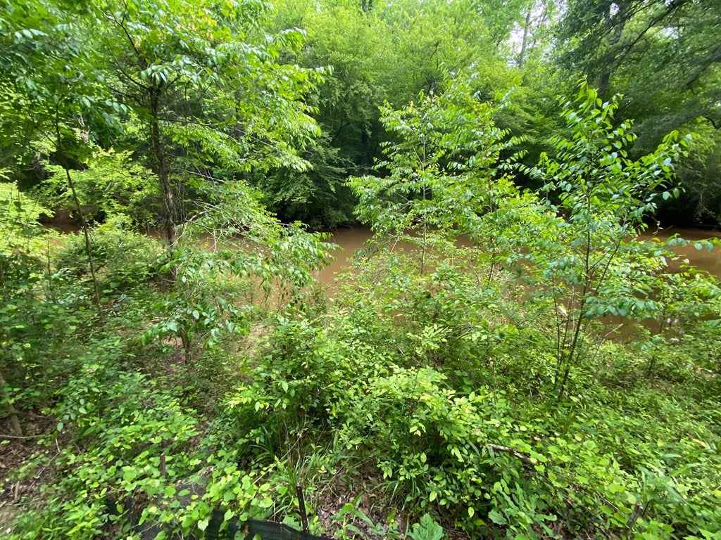 0 Rocky Creek Road Forsyth, GA 31029 - Photo 4 of 8 Gallery Image 4