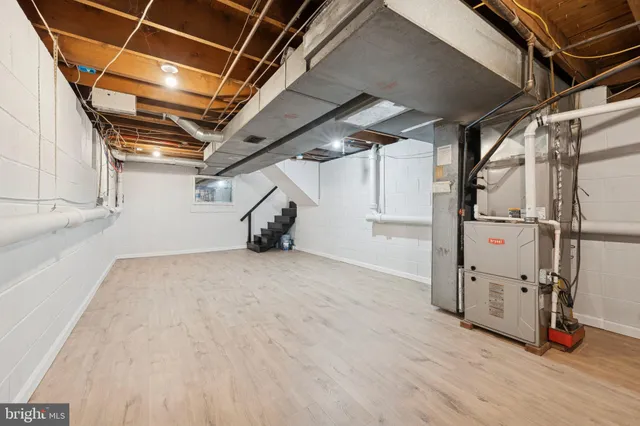 a view of a park with large trees