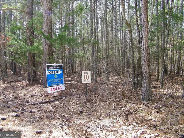$49,900 | Lot 10 Blackberry Bend, Elberton, GA 30635