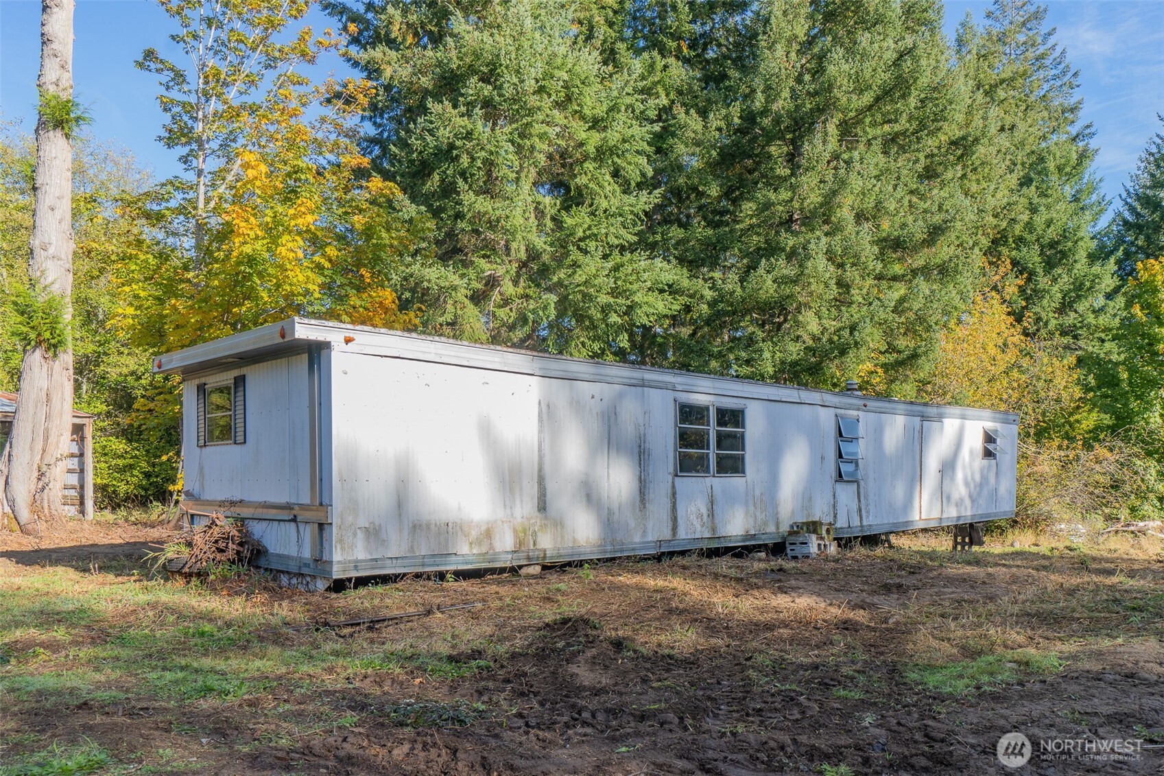17328 Mulqueen Road Southeast Rainier, WA 98576 - Photo 16 of 38