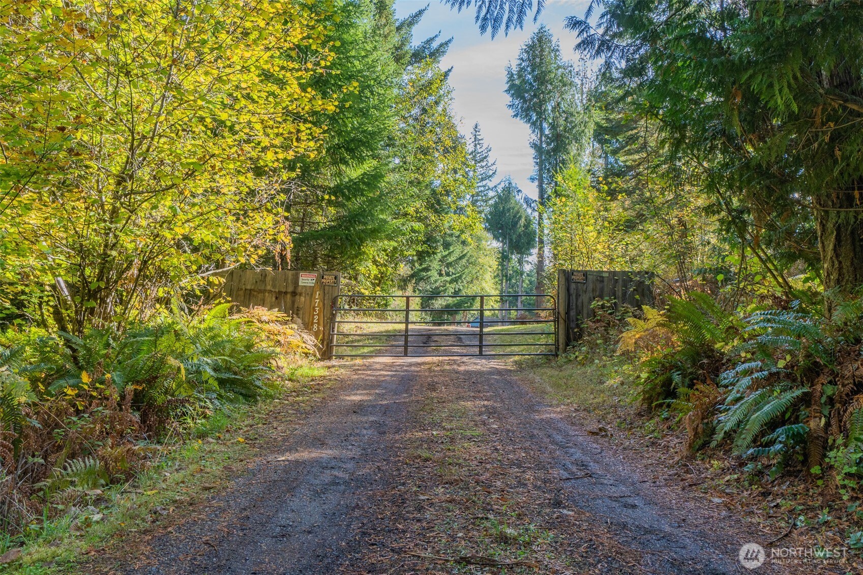 17328 Mulqueen Road Southeast Rainier, WA 98576 - Photo 24 of 24 a view of a yard with plants and trees