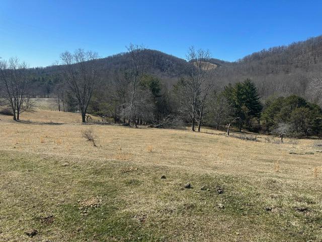 Tbd Flat Ridge Road, Unit 31A67 Mouth Of Wilson, VA 24363 - Photo 1 of 27 Gallery Image 1