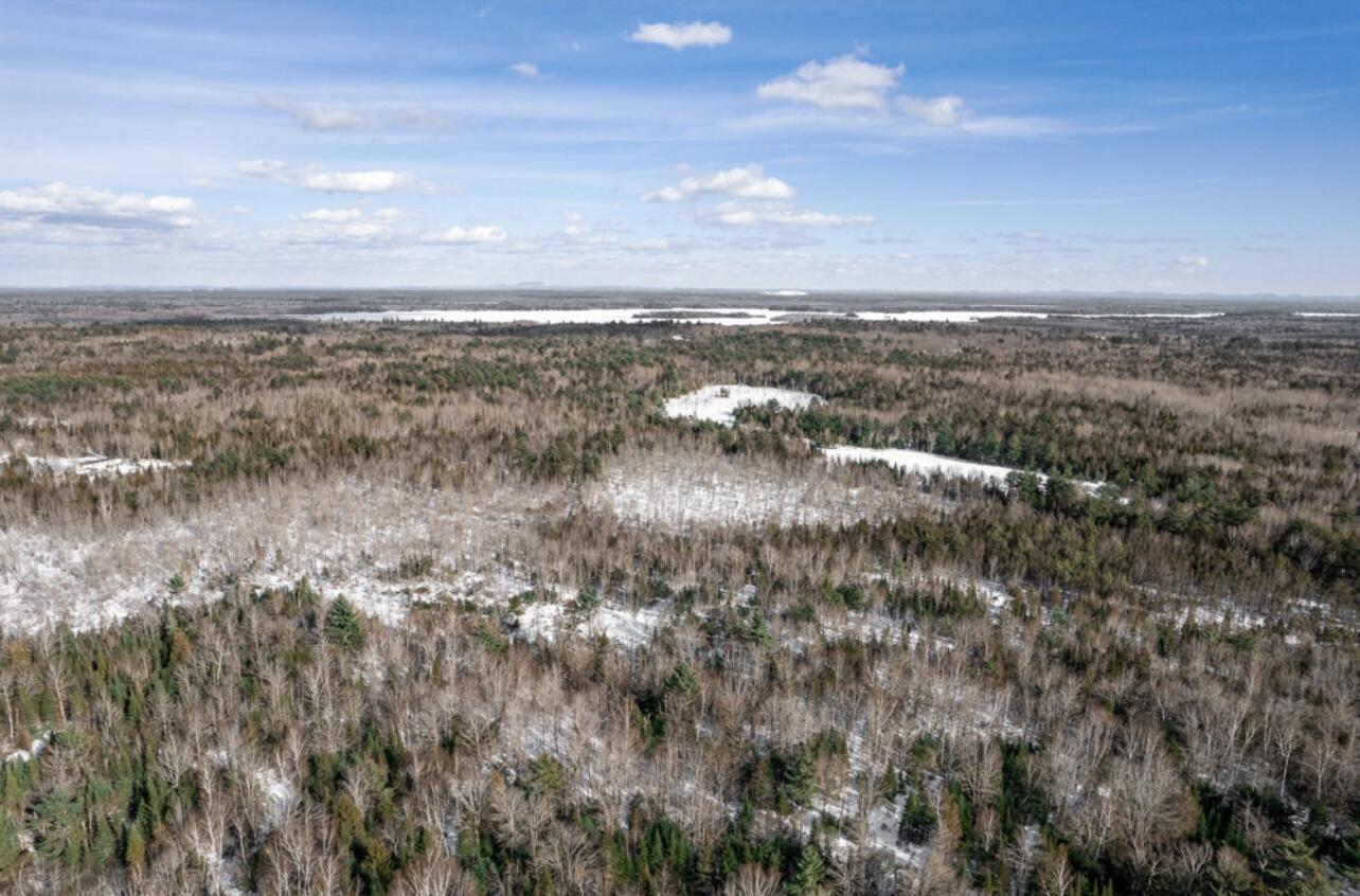 Lot 11 Lower Cross Road Hudson, ME 04449 - Photo 5 of 16 FE18E993-F5B6-4D48-AAA9-DF819FDFA478