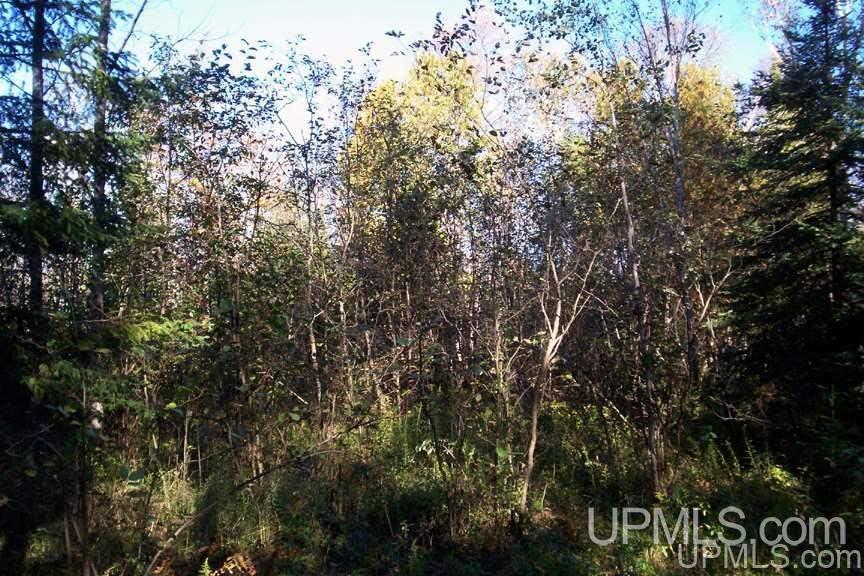 Tbd 140 Acres Off Parkington Road Gulliver, MI 49840 - Photo 10 of 11