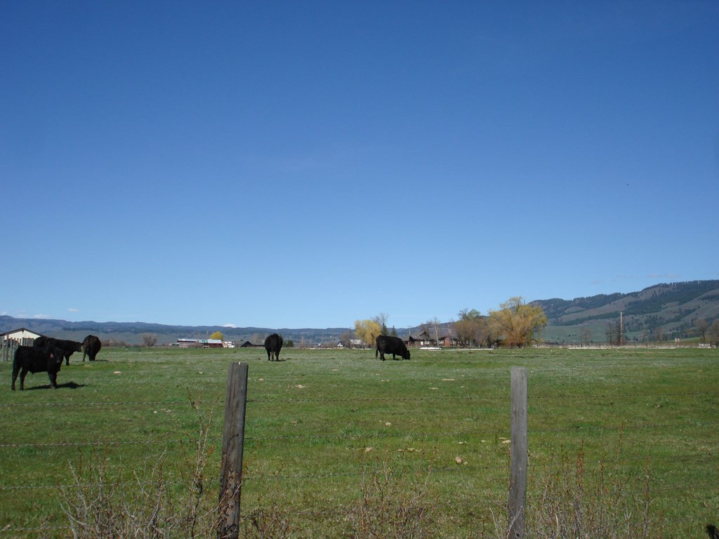 Tbd Orchard Road Council, ID 83612 - Photo 3 of 12