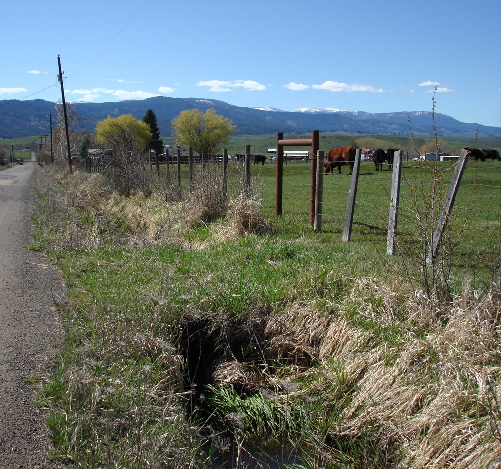 Tbd Orchard Road Council, ID 83612 - Photo 10 of 12