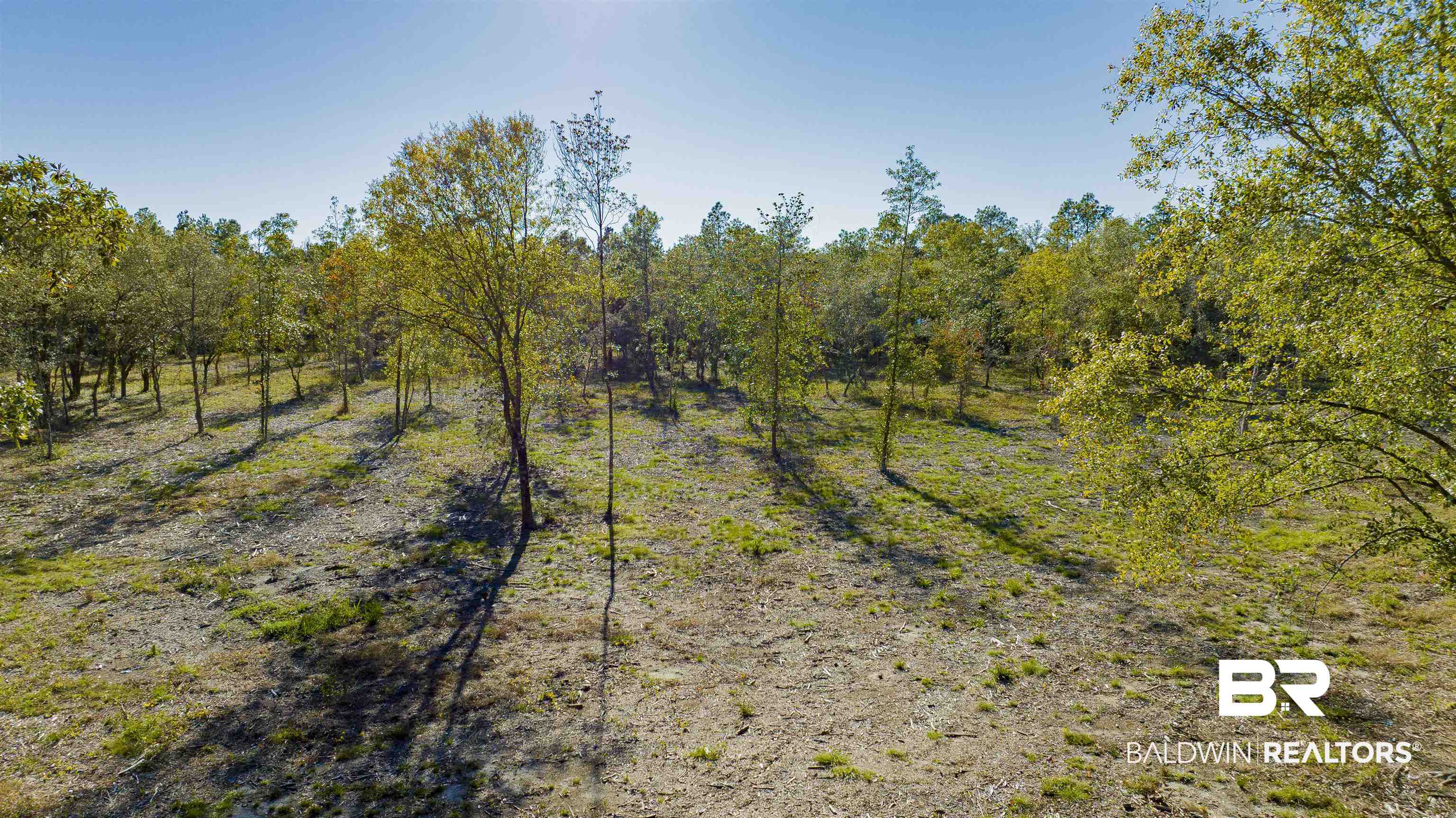 0 County Road 95 Elberta, AL 36530 - Photo 3 of 11