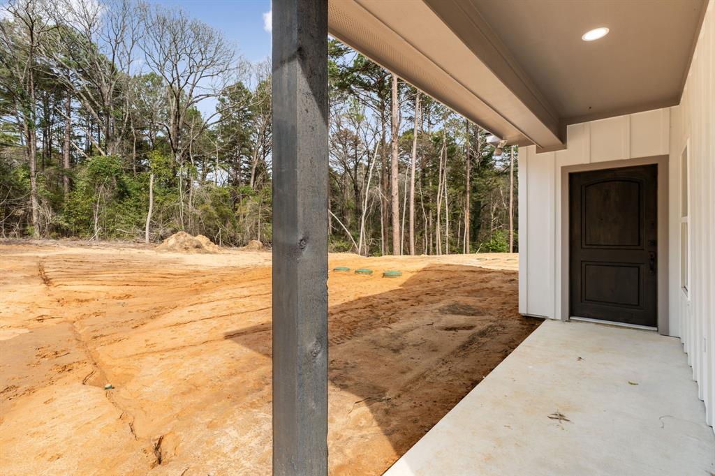 335 Perdanales Bullard, TX 75757 - Photo 31 of 37 a view of backyard with green space