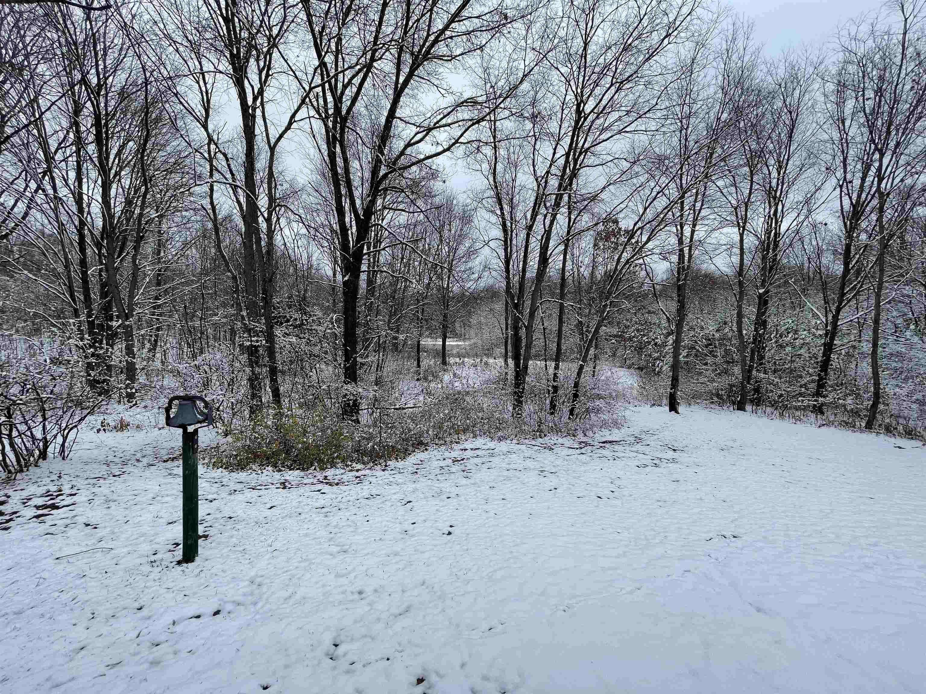 7454 West Maple Grove Rd Lake Lake, MI 48632 - Photo 29 of 32