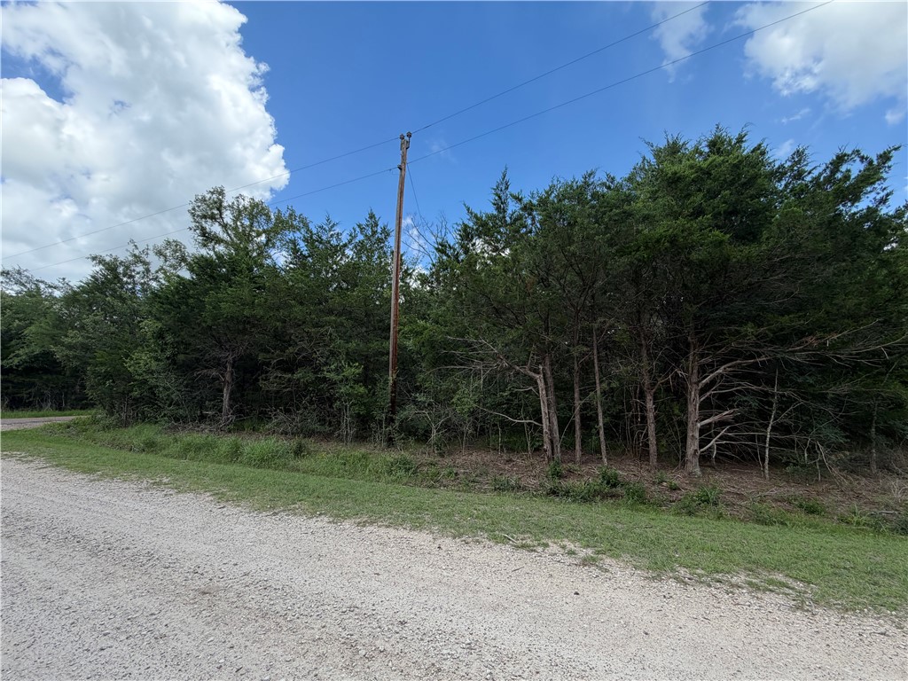 304 Overlook Loop Somerville, TX 77879 - Photo 3 of 17