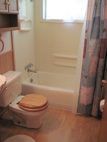 354 Cleveland Avenue Rochelle, IL 61068 - Photo 15 of 22 a white toilet sitting next to a bath tub