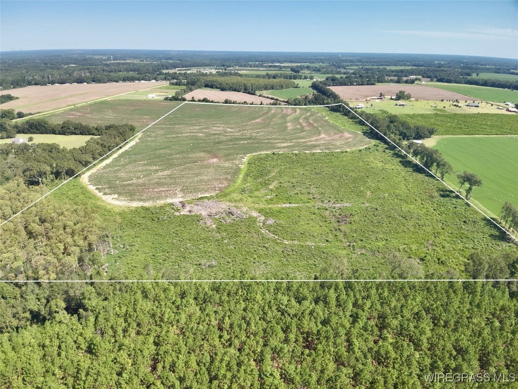 0 Shiver Road Dothan, AL 36301 - Photo 4 of 14 Gallery Image 4