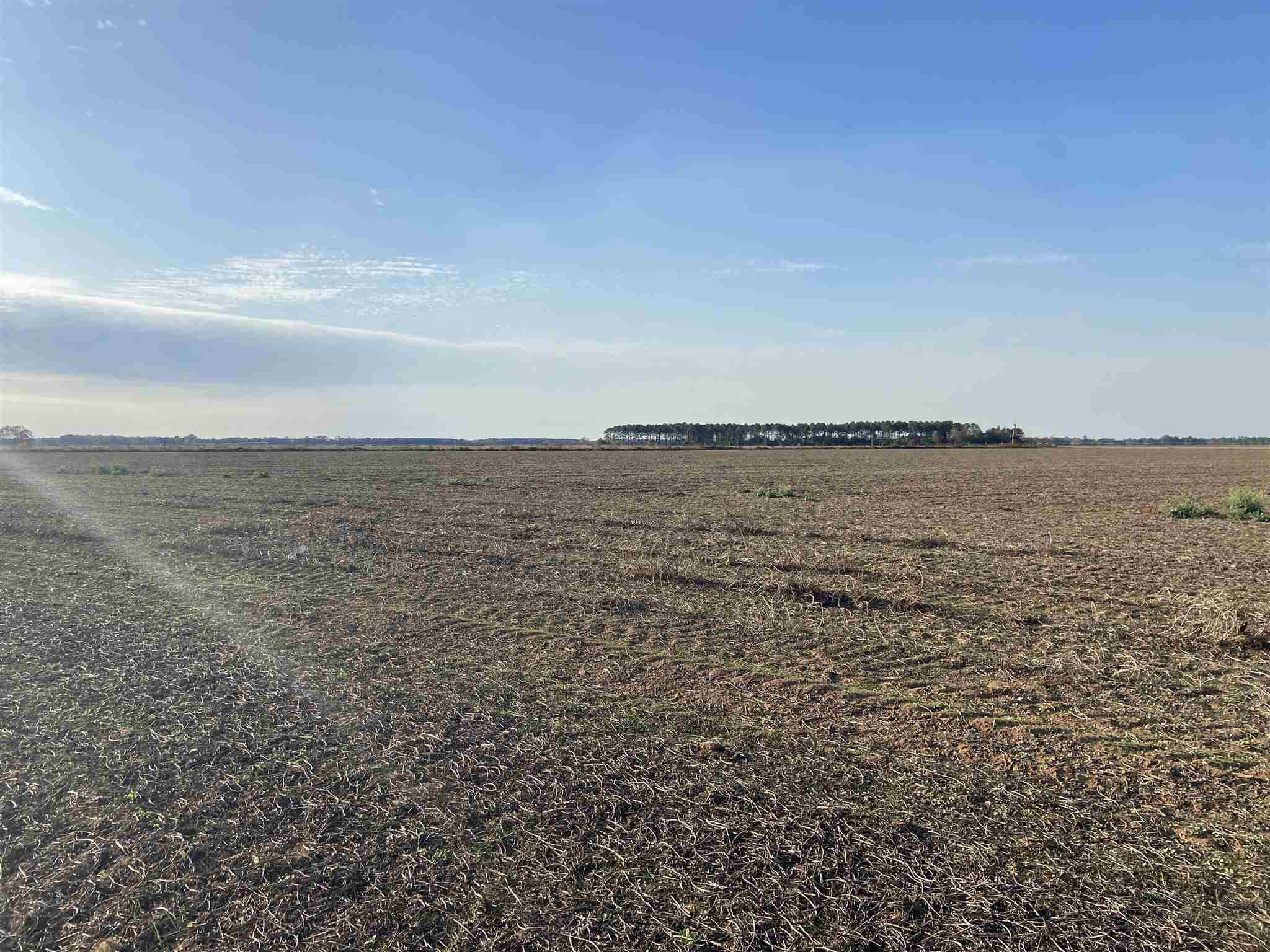 0 Mack Pond Road Atmore, AL 36502 - Photo 1 of 1