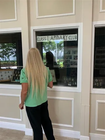 a view of a playground and swimming pool