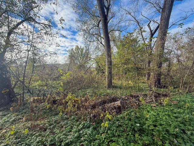 $120,000 | 26 St Houston Mn 55943, Houston, MN 55943