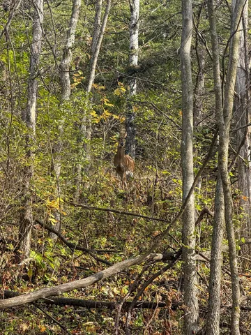 $120,000 | 26 St Houston Mn 55943, Houston, MN 55943