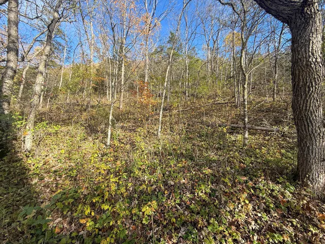 $130,000 | 26 St Houston Mn 55943, Houston, MN 55943