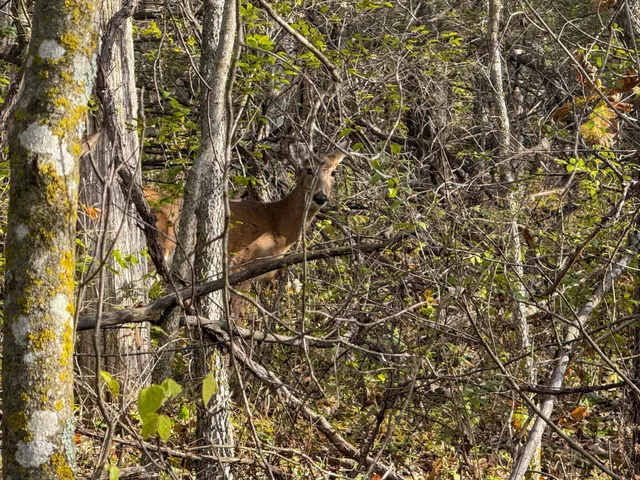 $120,000 | 26 St Houston Mn 55943, Houston, MN 55943