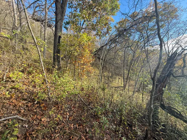 $120,000 | 26 St Houston Mn 55943, Houston, MN 55943