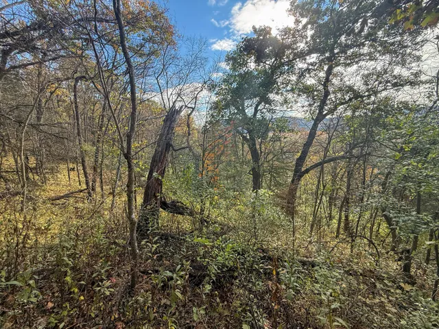 $130,000 | 26 St Houston Mn 55943, Houston, MN 55943