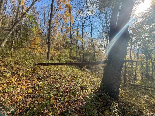 $120,000 | 26 St Houston Mn 55943, Houston, MN 55943