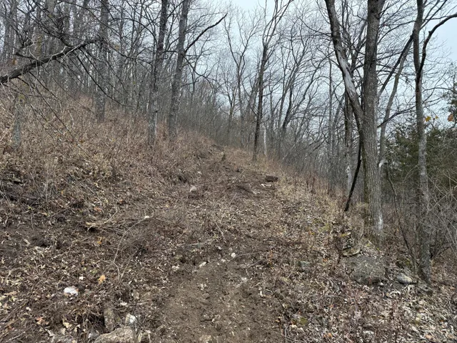 $120,000 | 26 St Houston Mn 55943, Houston, MN 55943