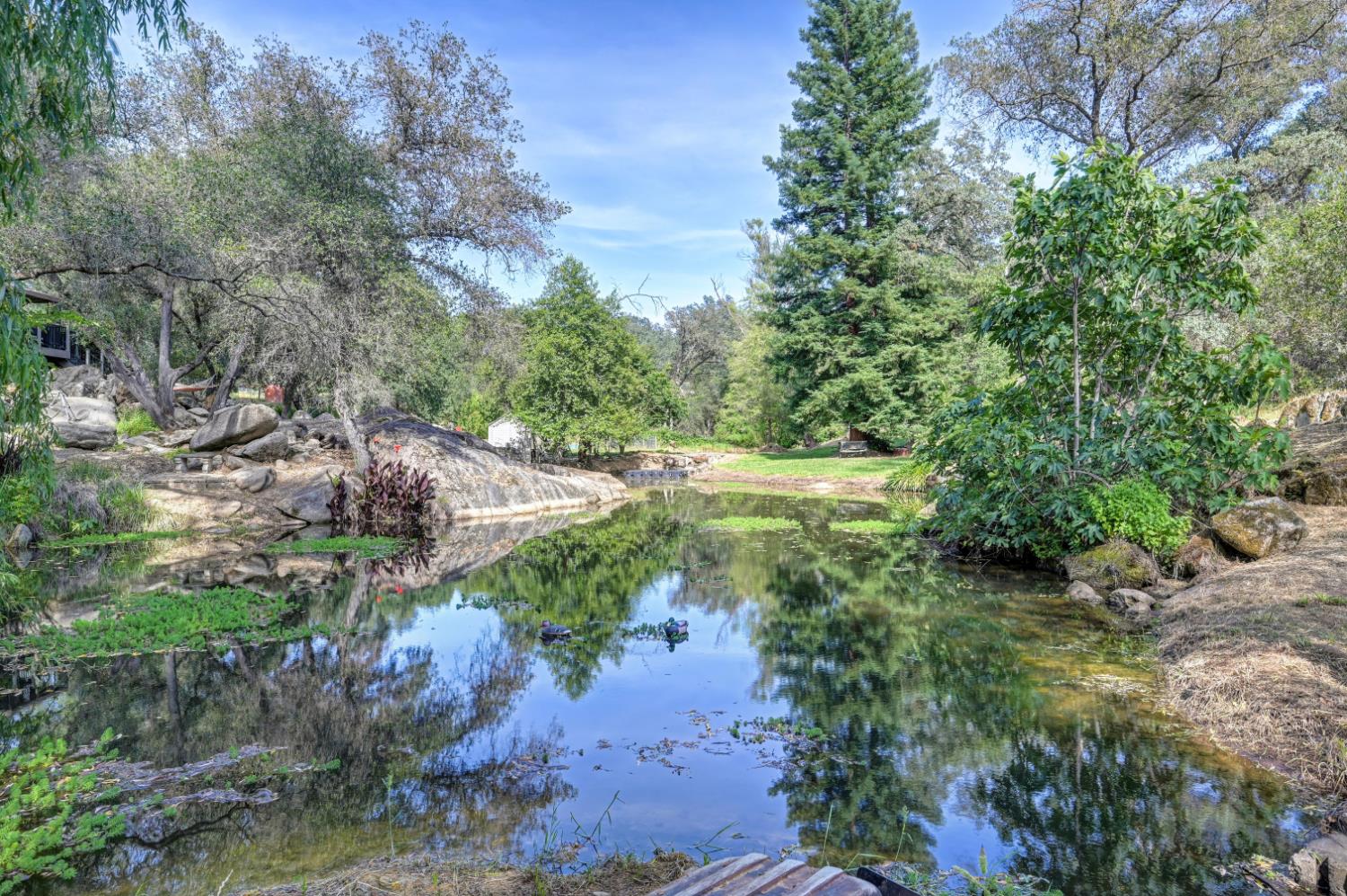 4840 Frog Pond Road Newcastle, CA 95658 - Photo 49 of 56