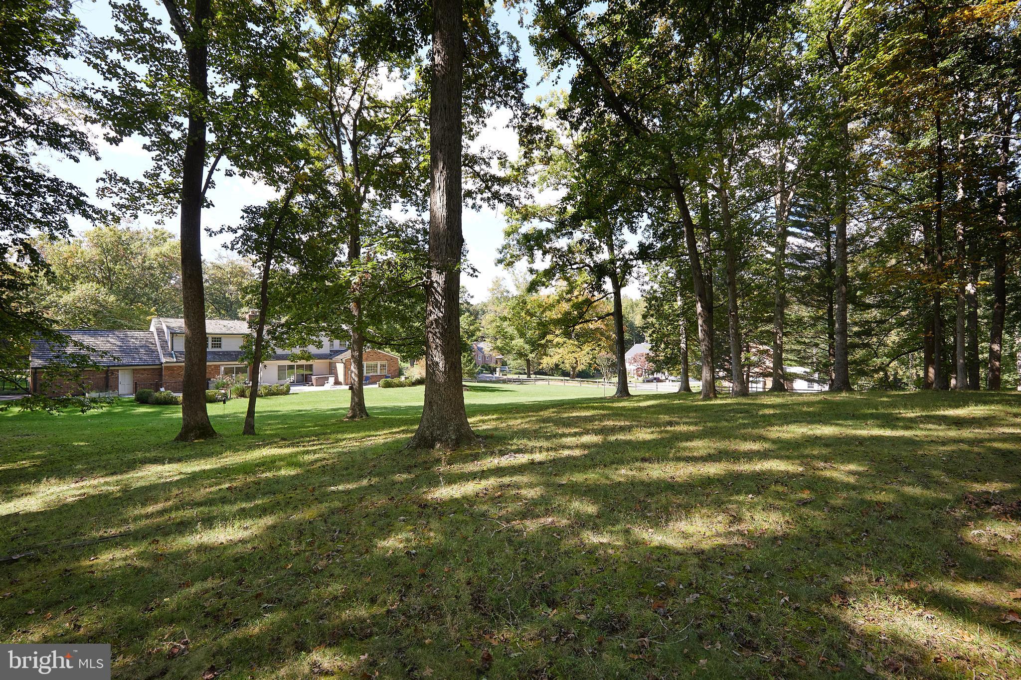 8710 Belmart Road Potomac, MD 20854 - Photo 49 of 56 Your private parkland!