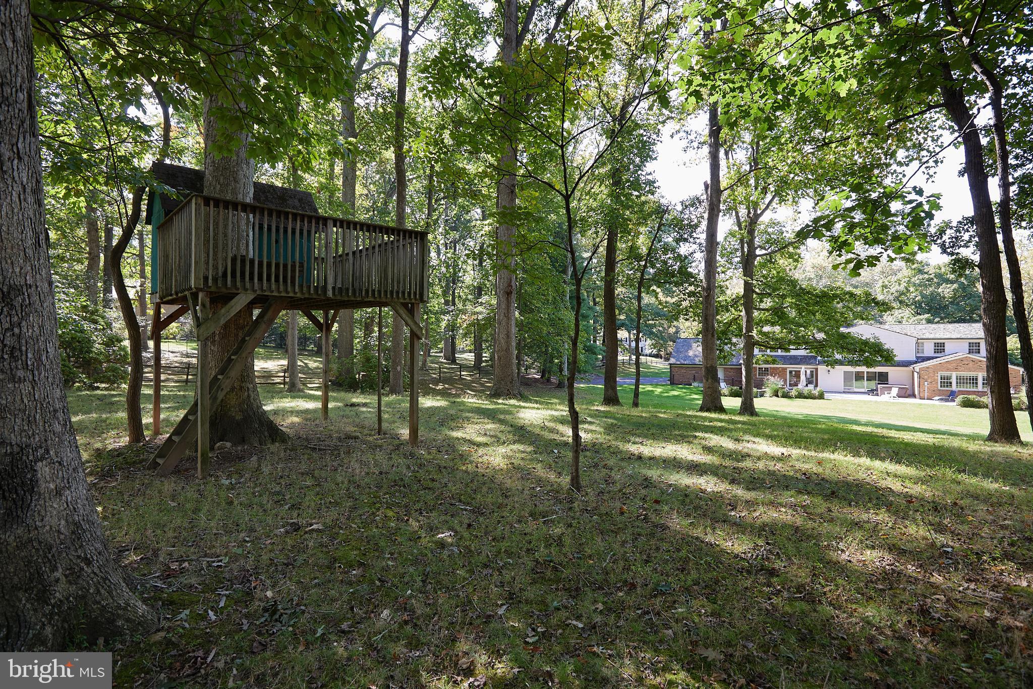 8710 Belmart Road Potomac, MD 20854 - Photo 50 of 56 Treehouse -your kids (or you) may not leave!