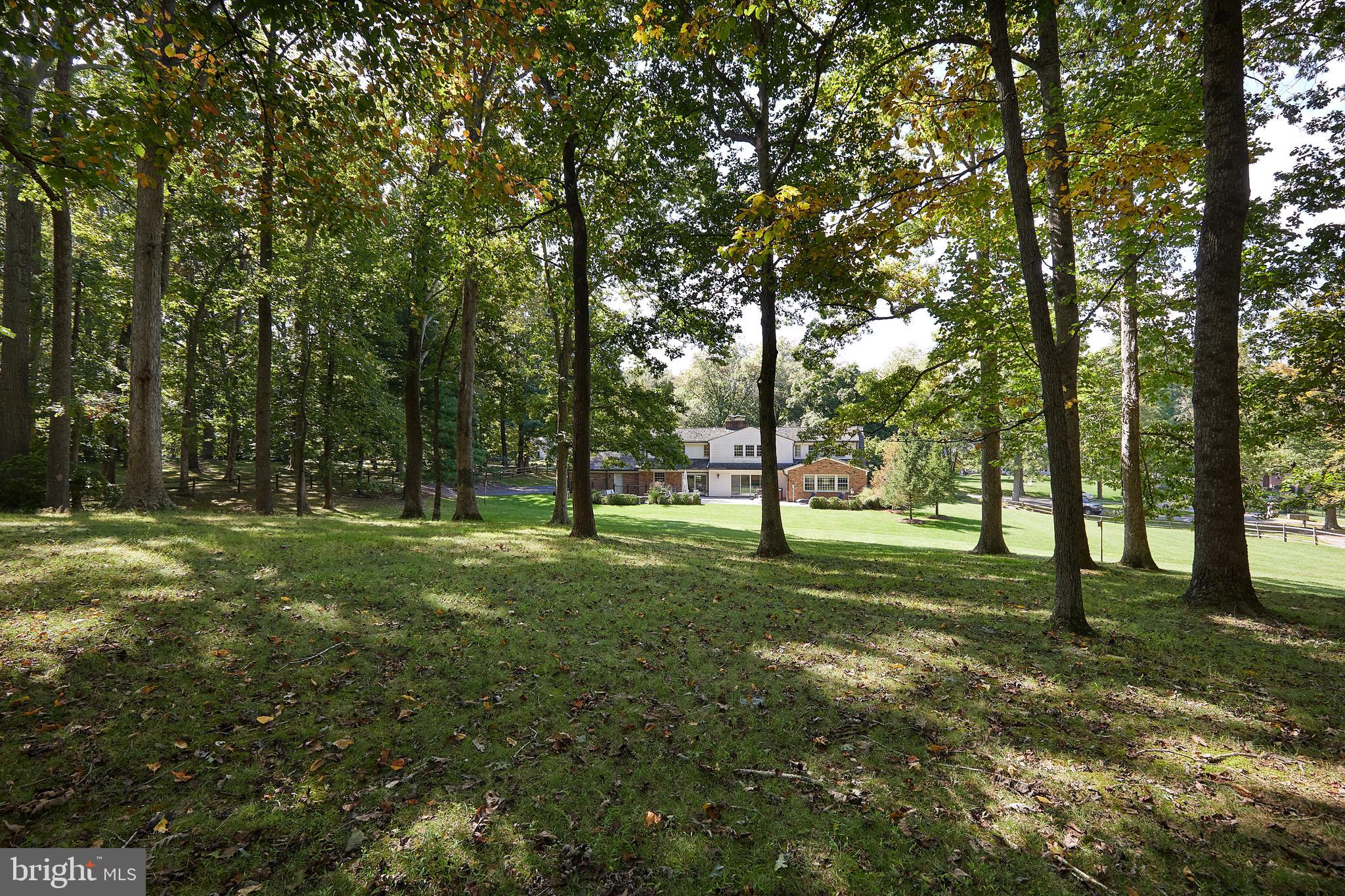 8710 Belmart Road Potomac, MD 20854 - Photo 51 of 56 Memory lapse - Did I say some about the yard?